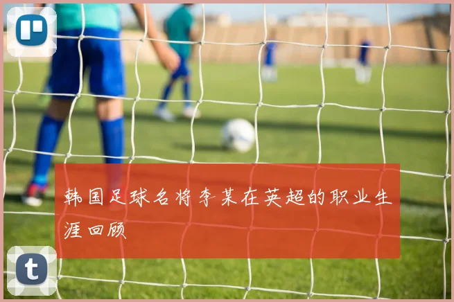 韩国足球名将李某在英超的职业生涯回顾